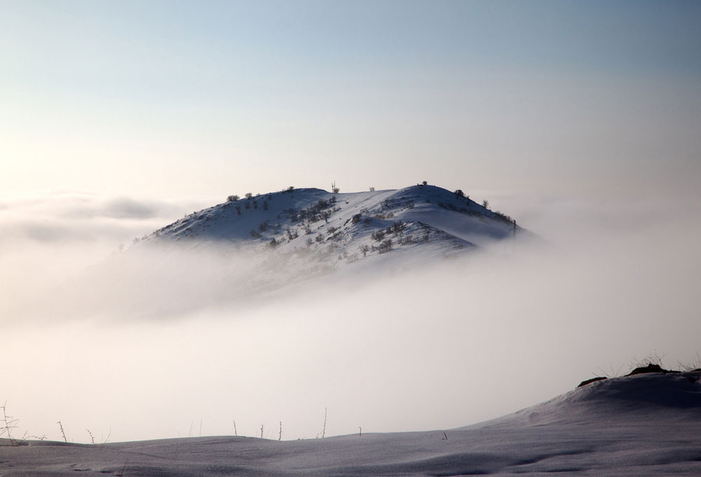 Schneebedeckter Hügel im Morgennebel mit filigranen Büschen darauf hinter einer schneebedeckten Anhöhe, aus der vereinzelt filigrane Äste herausragen und die in zartes blau-grau-rosé-beige-farbenes Licht getaucht ist